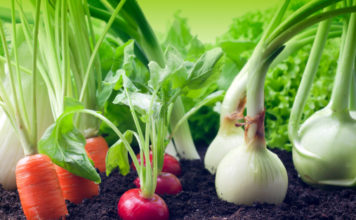 La posizione degli ortaggi nell’orto 592 0 064 La posizione degli ortaggi nell orto